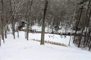 446 Pine Ln, Mineral Bluff, GA 30559 - Photo 51