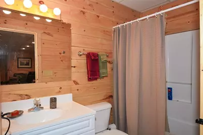 446 Pine Lane, Mineral Bluff, GA 30559 - Photo 31