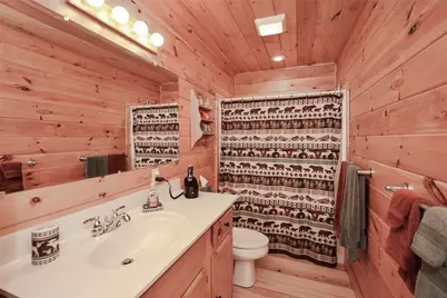 446 Pine Lane, Mineral Bluff, GA 30559 - Photo 19