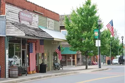 145 Pinnacle Way, Ellijay, GA 30540 - Photo 17