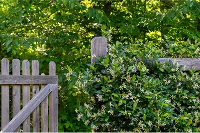 5360 Lake Forrest Drive, Atlanta, GA 30342 - Photo 73