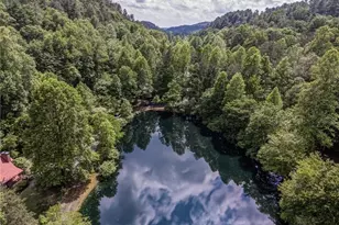 64 Bear Lake Drive, Blue Ridge, GA 30513 - Photo 27