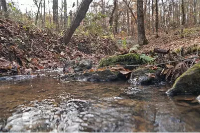 350 Lee Paul Road, Hawkinsville, GA 31036 - Photo 41