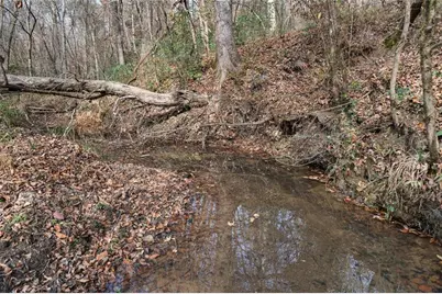 350 Lee Paul Road, Hawkinsville, GA 31036 - Photo 43