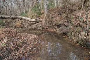 350 Lee Paul Rd, Hawkinsville, GA 31036 - Photo 43