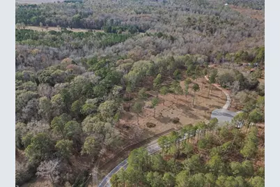 350 Lee Paul Road, Hawkinsville, GA 31036 - Photo 39