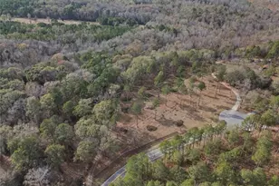 350 Lee Paul Rd, Hawkinsville, GA 31036 - Photo 39