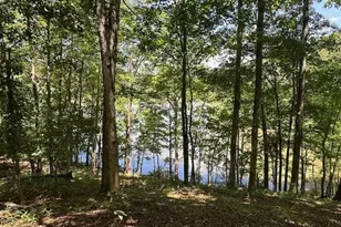 6592 Huckleberry Ln, Lula, GA 30554 - Photo 41