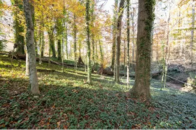 2924 Lavista Road, Decatur, GA 30033 - Photo 21