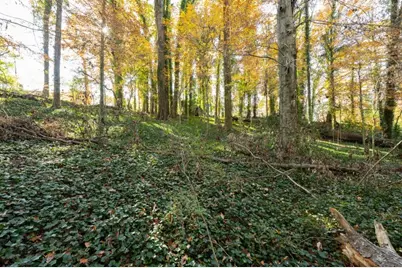 2924 Lavista Road, Decatur, GA 30033 - Photo 19