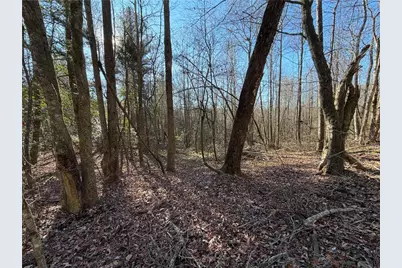 117 Joes Cove, Dawsonville, GA 30534 - Photo 75