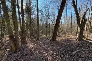 117 Joe's Cv, Dawsonville, GA 30534 - Photo 75