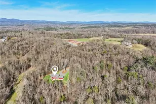 117 Joe's Cv, Dawsonville, GA 30534 - Photo 67