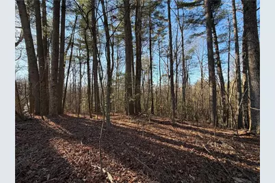 117 Joes Cove, Dawsonville, GA 30534 - Photo 73