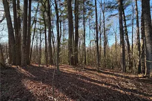 117 Joe's Cv, Dawsonville, GA 30534 - Photo 73