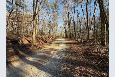 117 Joes Cove, Dawsonville, GA 30534 - Photo 71