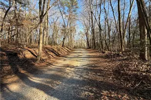 117 Joe's Cv, Dawsonville, GA 30534 - Photo 71