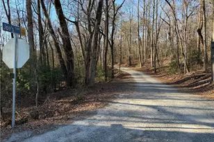 117 Joe's Cv, Dawsonville, GA 30534 - Photo 69