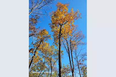 400 Kitchens Mountain Road, Cartersville, GA 30120 - Photo 19