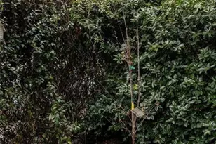 2060 Telfair Cir NE, Atlanta, GA 30324 - Photo 45