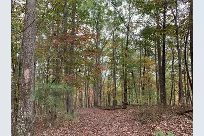 128 Adair Drive, Ranger, GA 30734 - Photo 11