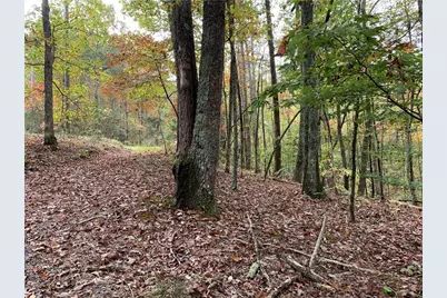 128 Adair Drive, Ranger, GA 30734 - Photo 7