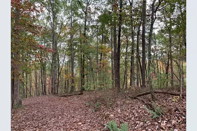 128 Adair Drive, Ranger, GA 30734 - Photo 1