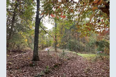 128 Adair Drive, Ranger, GA 30734 - Photo 9