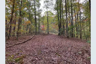 128 Adair Drive, Ranger, GA 30734 - Photo 5