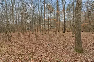 218 N Ole Hickory Trail N, Carrollton, GA 30117 - Photo 53