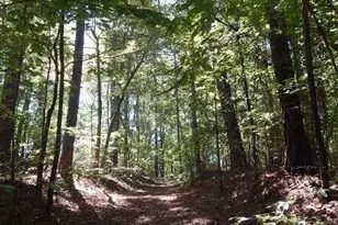 151 Aztec Way SE, Acworth, GA 30102 - Photo 27