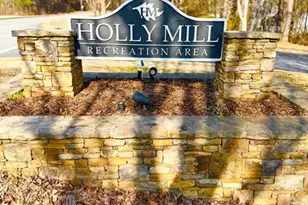 304 Meadows Ln, Canton, GA 30114 - Photo 51