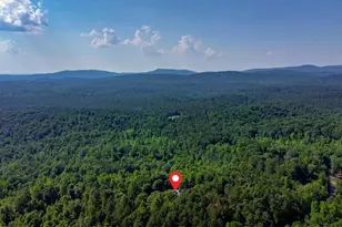 1355 White Rd, White, GA 30184 - Photo 119