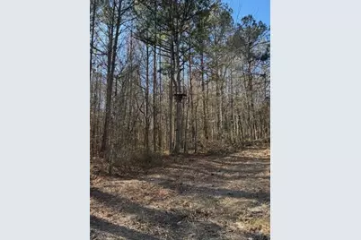 727 Central High Road, Carrollton, GA 30116 - Photo 19