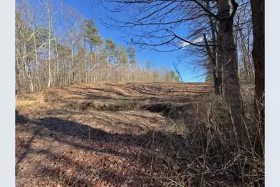 727 Central High Road, Carrollton, GA 30116 - Photo 17