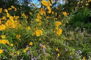 2736 Whisper Trail, Douglasville, GA 30135 - Photo 43