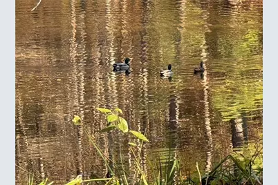 2736 Whisper Trail, Douglasville, GA 30135 - Photo 45