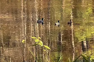 2736 Whisper Trail, Douglasville, GA 30135 - Photo 45