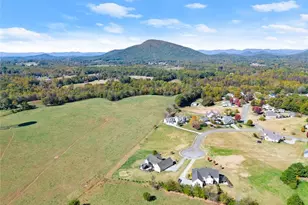 360 Clear View Ct, Clermont, GA 30527 - Photo 53