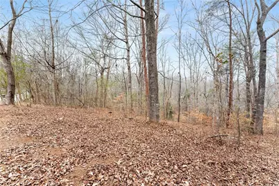 290 Silver Fox Drive, Dawsonville, GA 30534 - Photo 33