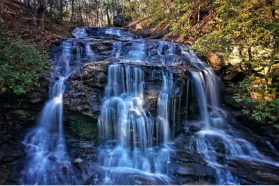 135 Wolfscratch Drive #609, Jasper, GA 30143 - Photo 5