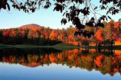 135 Wolfscratch Drive, Jasper, GA 30143 - Photo 15