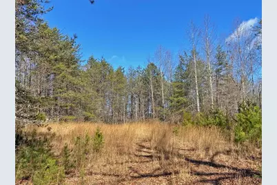 17.8Ac Frogtown Road, Dahlonega, GA 30533 - Photo 5