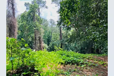 Lot 6 N Riverside Circle, Sandy Springs, GA 30328 - Photo 1