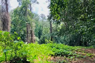 Lot 6 N Riverside Circle, Sandy Springs, GA 30328 - Photo 1