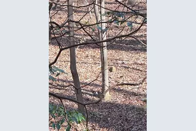 00 Crooked Creek, Jasper, GA 30143 - Photo 11