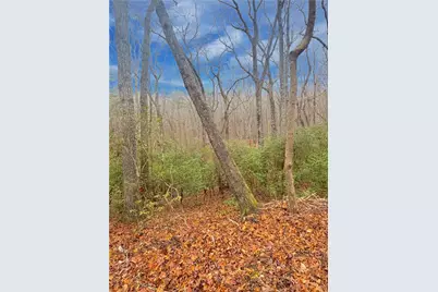 00 Crooked Creek, Jasper, GA 30143 - Photo 5