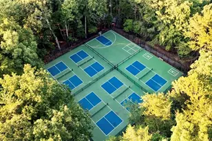 170 White Antelope St, Waleska, GA 30183 - Photo 49