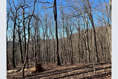 0 Sassafras Court, Jasper, GA 30143 - Photo 3