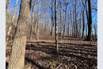 0 Sassafras Court, Jasper, GA 30143 - Photo 5